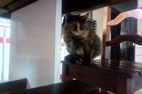 华体会登录-当东方水墨遇上加泰罗尼亚足球，李刚仁的百场里程碑