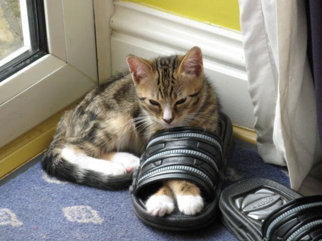 华体会体育-绝杀之夜，萨内一箭定乾坤，瑞典暗度陈仓带走阿森纳  第1张