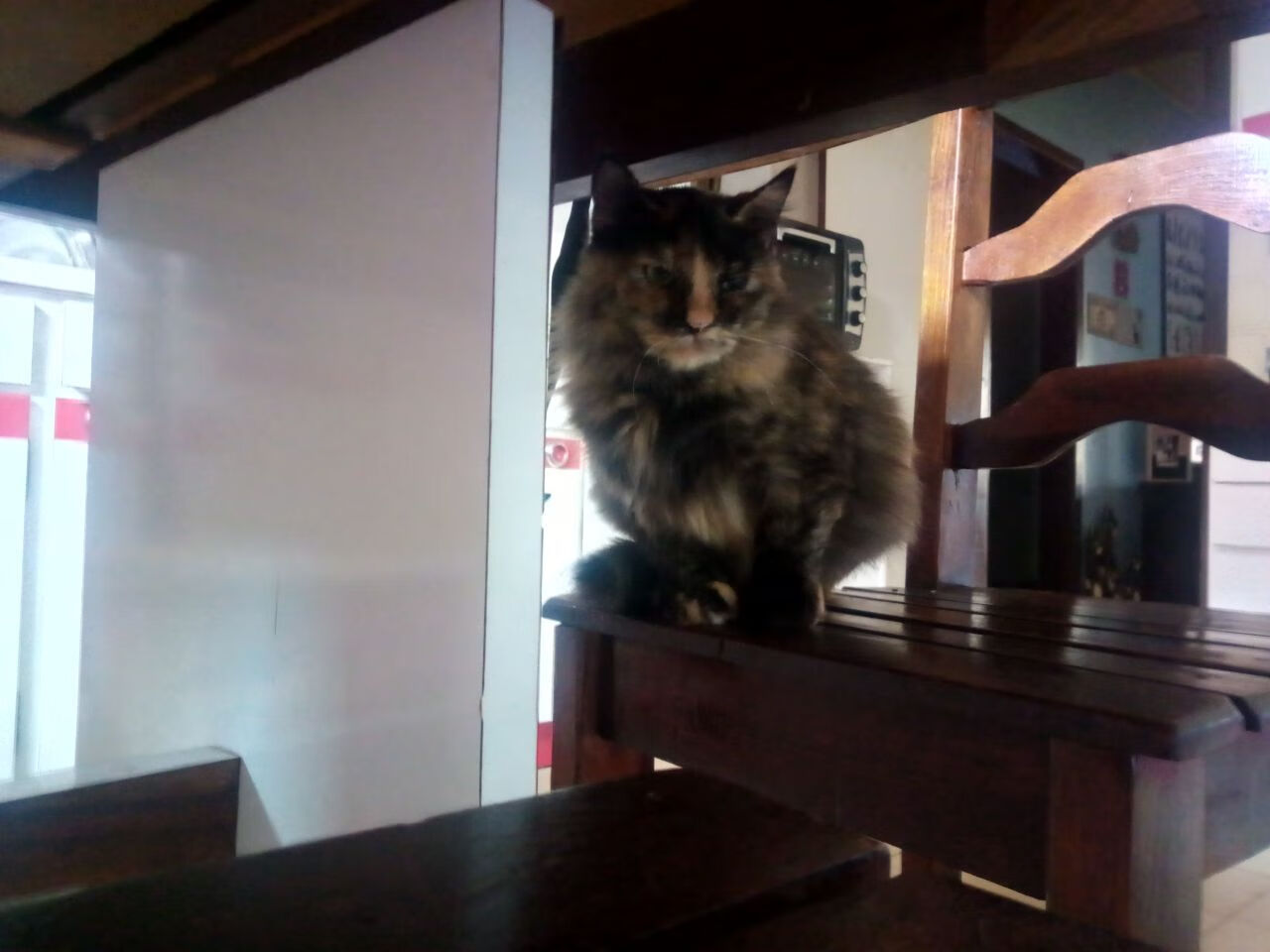 华体会登录-当东方水墨遇上加泰罗尼亚足球，李刚仁的百场里程碑  第1张